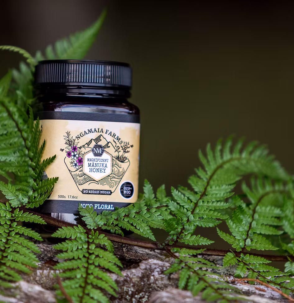 Beekeeper holding a honeycomb frame