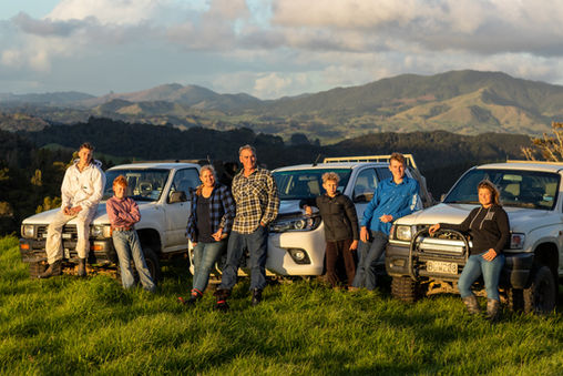 The Ngamaia Farms landscape and beehives